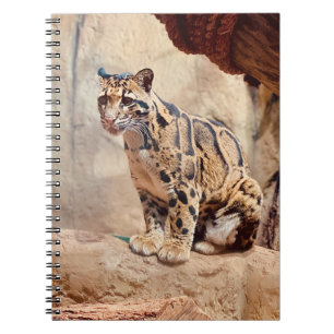 Caderno Espiral foto de leopardo nebuloso natureza vida selvagem e