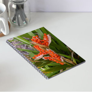 Caderno Espiral Foto De Pods De Sementes Laranja Iris