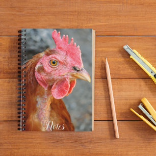 Caderno Espiral Foto de Red Star Chicken Hen
