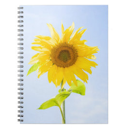 Caderno Espiral Foto de Sunflower Nature