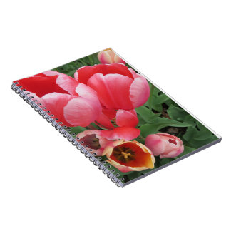 Caderno Espiral Foto de tulipas cor-de-rosa vibrante -