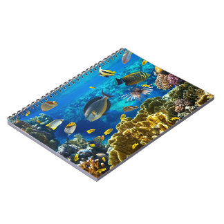 Caderno Espiral Foto de um peixe tropical em um recife de corais