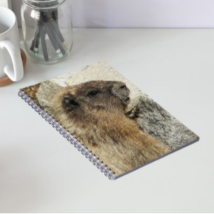 Caderno Espiral Foto de Vida Selvagem de Marmota Hoary