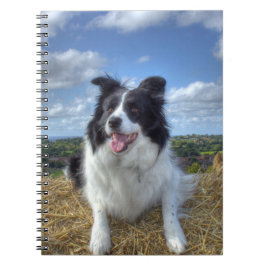 Caderno Espiral Foto do Cão Collie de Borda Cóta