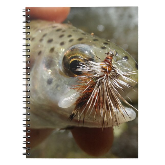 Caderno Espiral Foto do Rainbow Trout (Frente)