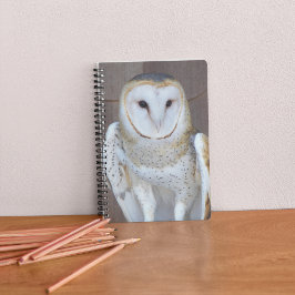 Caderno Espiral Foto do Raptor Barn Owl