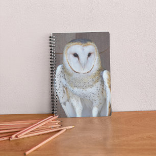 Caderno Espiral Foto do Raptor Barn Owl