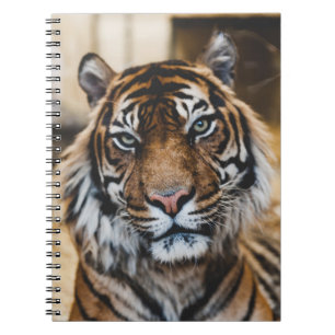 CADERNO ESPIRAL FOTO DO ROSTO DE TIGER