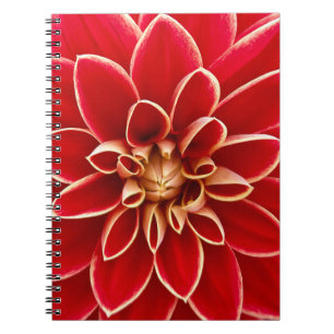 Caderno Espiral Foto em Close Up de Flor de Dália Vermelha Brilhan