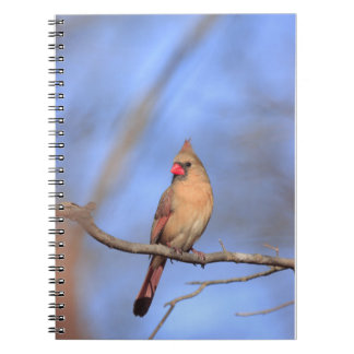 Caderno Espiral Foto espiral com norte Cardina