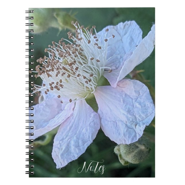 Caderno Espiral Foto Macro de Flor de Amora (Frente)