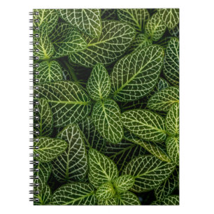 Caderno Espiral Foto macro de plantas com folhas verdes