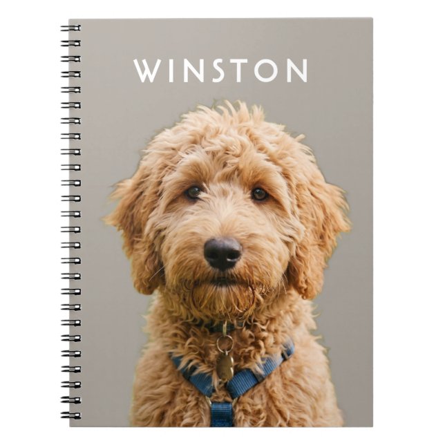 Caderno Espiral Foto Nome de Cachorros Personalizados - LEIA A DES (Frente)