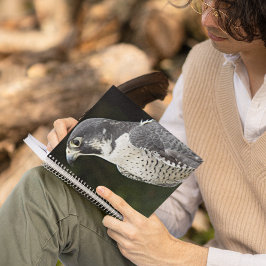 Caderno Espiral Foto Peregrine Falcon Nature