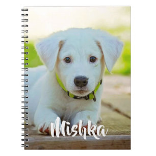 Caderno Espiral Foto personalizada personalizada de estimação