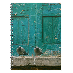 CADERNO ESPIRAL FOTO PRÓXIMA DE DOIS PIGEÕES DE CINZA NA CONCRET