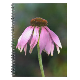Caderno Espiral Fotografia da Flor Echinacea Rosa