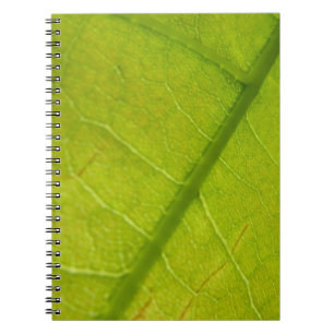 Caderno Espiral Fotografia da Natureza Verde Folha