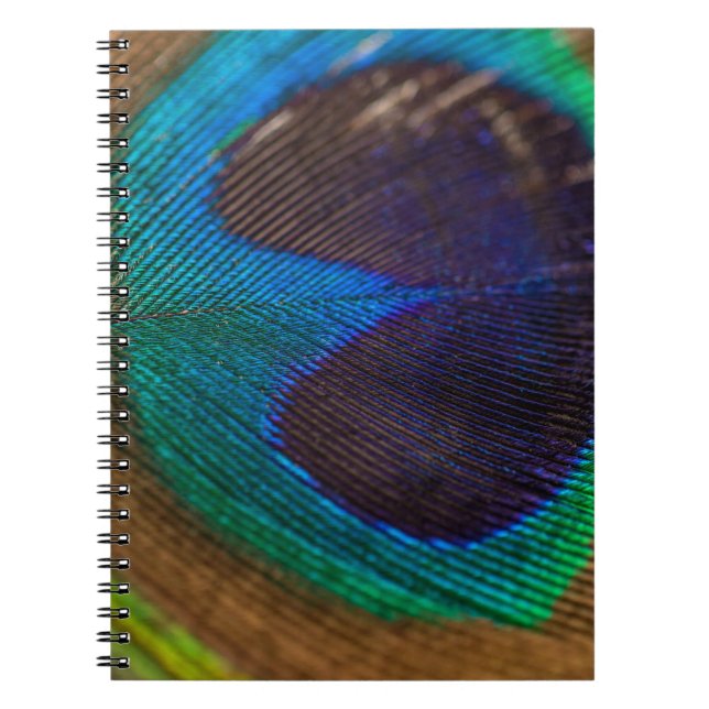 Caderno Espiral Fotografia da pena de pavão (Frente)