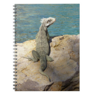Caderno Espiral Fotografia da Vida Selvagem Tropical de Iguana
