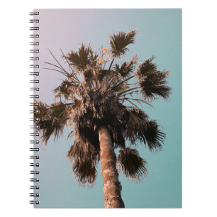Caderno Espiral Fotografia de baixo ângulo da palmeira