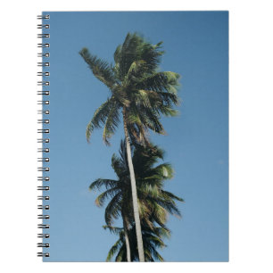 Caderno Espiral Fotografia de baixo ângulo de três coqueiros