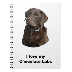 Caderno Espiral Fotografia de cão Labrador Chocolate
