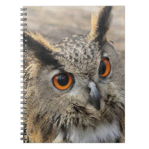 Caderno Espiral Fotografia de coruja-de-águia-branca