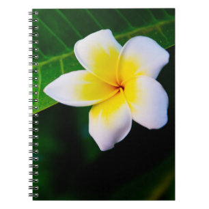 Caderno Espiral Fotografia de Flor de Plumeria