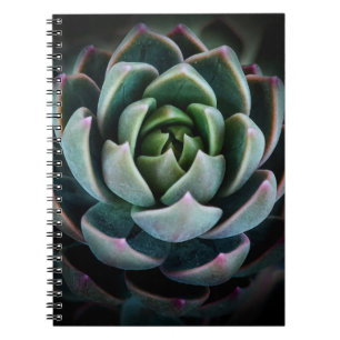 Caderno Espiral Fotografia de Flores Suculentas e Naturais Lindas