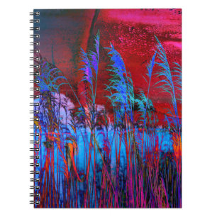 Caderno Espiral Fotografia de Kelly Nickels / Willows & Weeds