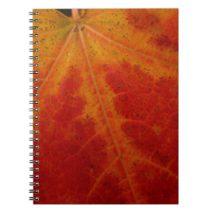 Caderno Espiral Fotografia do Abstrato de outono de Folha Vermelha
