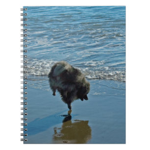 Caderno Espiral Fotografia do balé do Keeshond - arte original