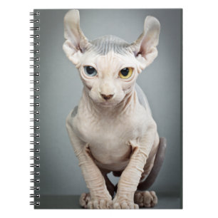 Caderno Espiral Fotografia do gato da esfinge do duende