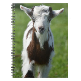 Caderno Espiral Fotografia do jovem Capô