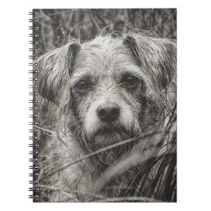 Caderno Espiral Fotografia do Retrato Branco e Preto-Cachorro