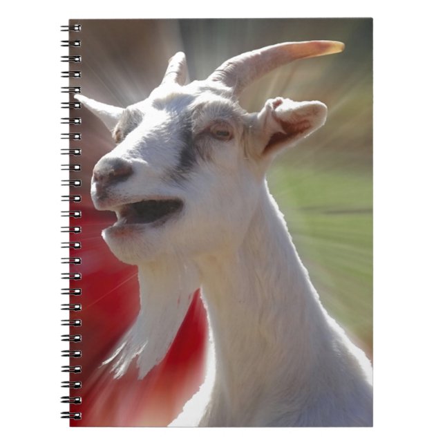 Caderno Espiral Fotografia engraçada da cabra de Tallking (Frente)