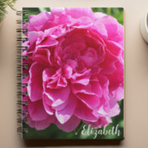 Fotografia Floral Cor-de-Rosa Personalizada para P