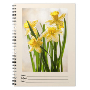 Caderno Espiral Fotografia Floral: Daffodilos Primavera amarelos