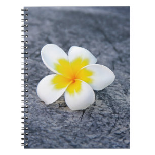 Caderno Espiral Fotografia Floral de Frangipani Tropical