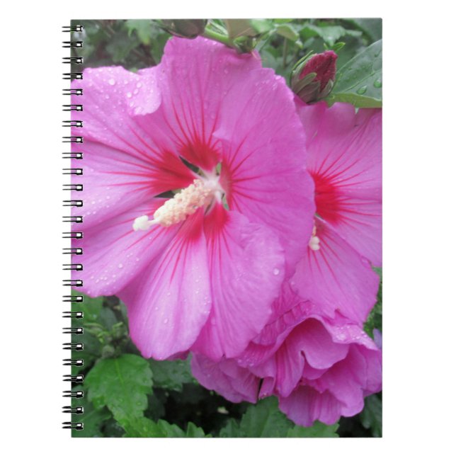 Caderno Espiral Fotografia Floral Rosa (Frente)