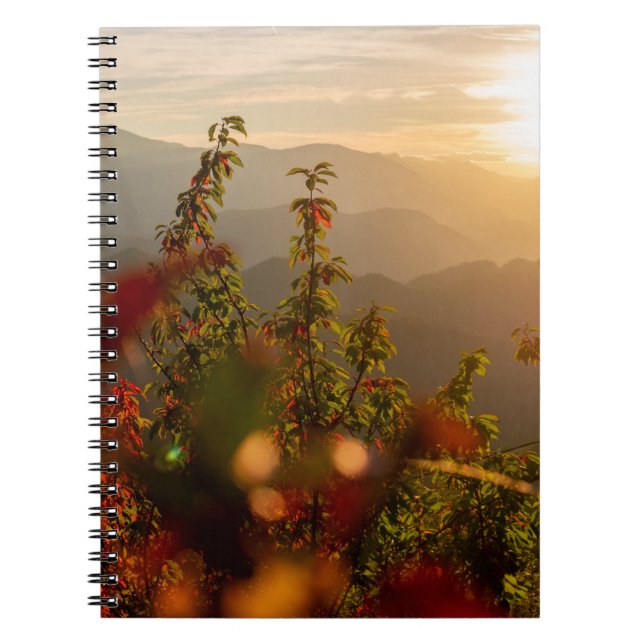 Caderno Espiral Fotografia natural de árvores verdes sobre a boca (Frente)