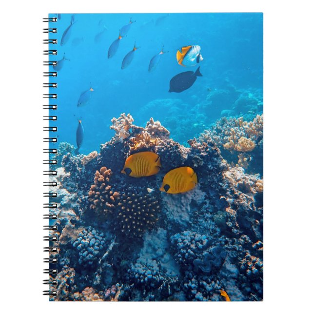 Caderno Espiral Fotografia náutica Animal Marinho Fotografia Peixe (Frente)