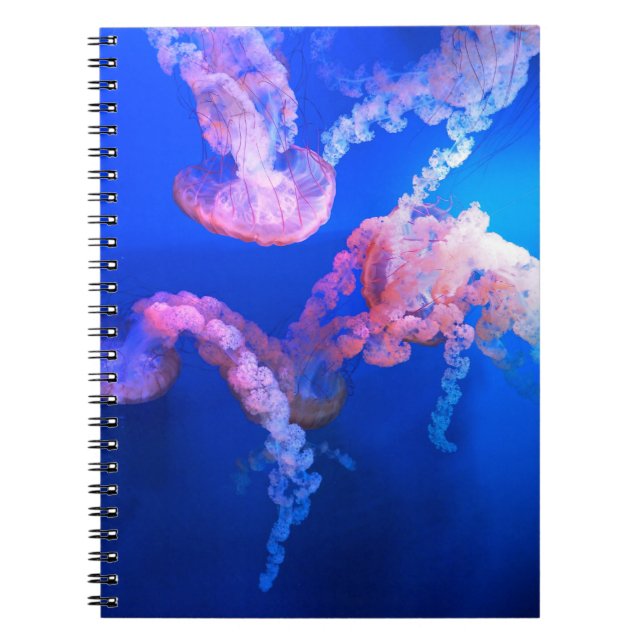 Caderno Espiral Fotografia náutica marinha aquática (Frente)