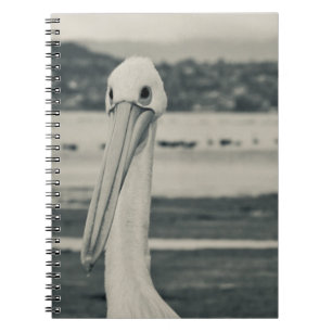 Caderno Espiral Fotografia Pelicana Preta e Branca