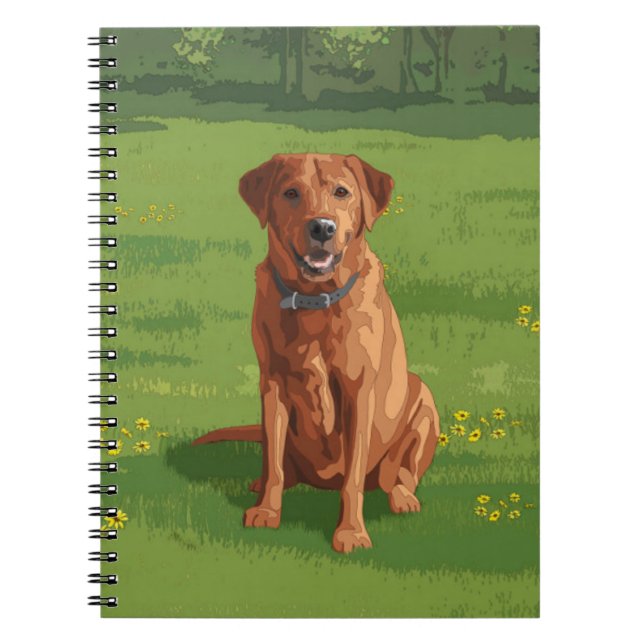 Caderno Espiral Fox Red Yellow Labrador Retriever Cão (Frente)