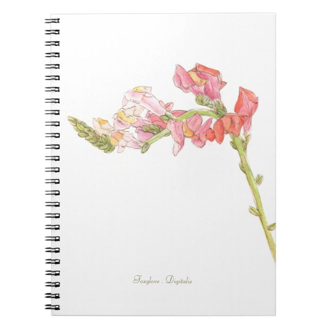 Caderno Espiral Foxglove (Frente)