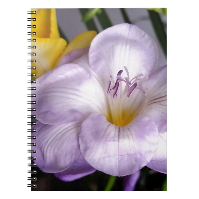 Caderno Espiral freesia violeta aberta (Frente)