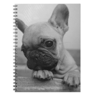 Caderno Espiral Frenchie puppy