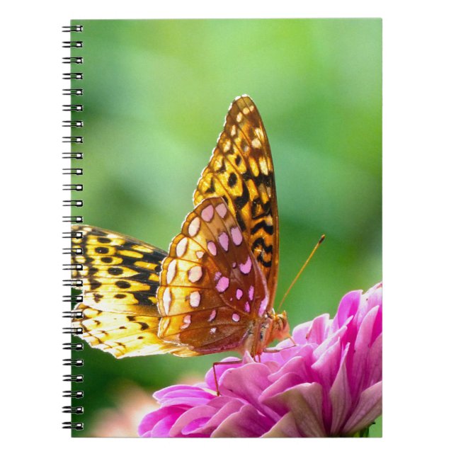 Caderno Espiral Frente de excelente com rotação (Frente)